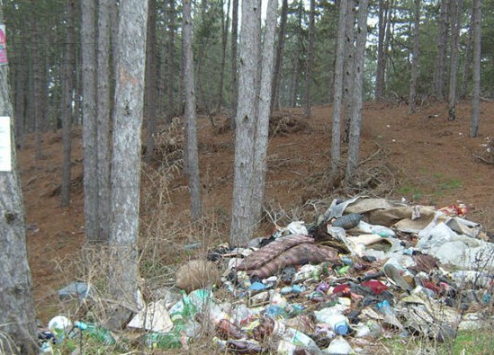 f85e2e7d0e4baccb01a68dc3c9c65919